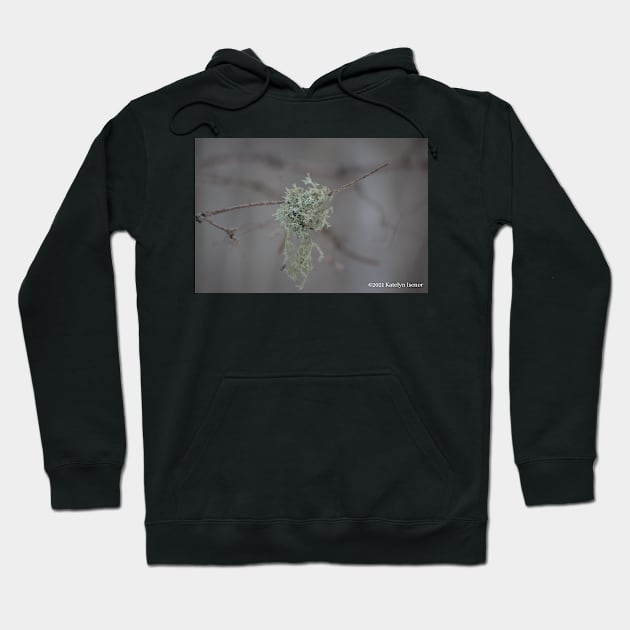 Moss on a Branch Hoodie by kate4grace